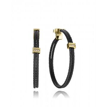 Pendientes de acero Ip negro y dorado