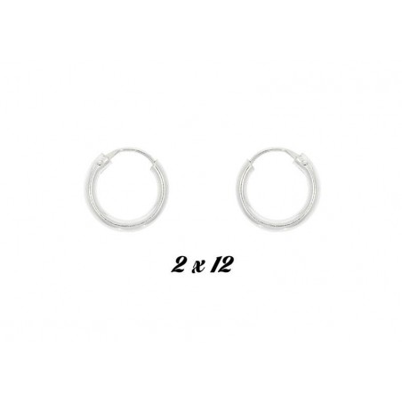 Pendeintes de Aro 2x12mm