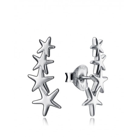 Pendientes Plata Viceroy Trend