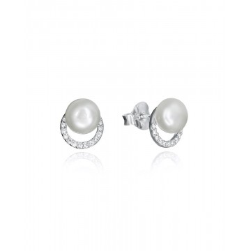 Pendientes palta viceroy