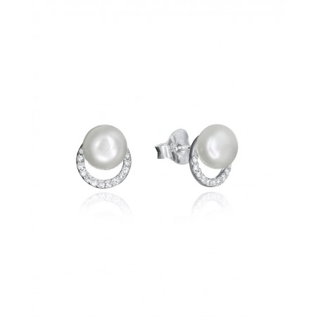 Pendientes palta viceroy